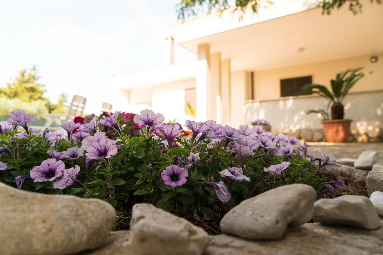 פולינאנו א מארה Villa Margherita מראה חיצוני תמונה